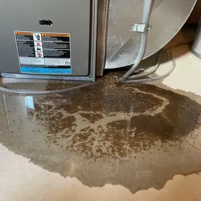 Appliance Leak Cleanup in Mount Zion, IL